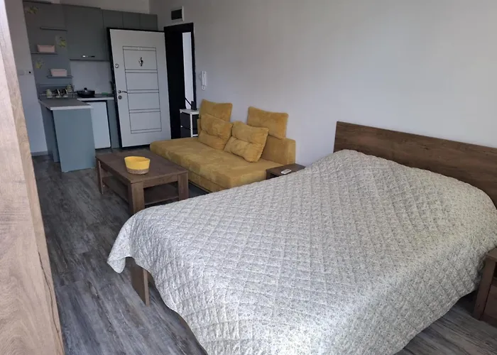 Daire лазур аурелия