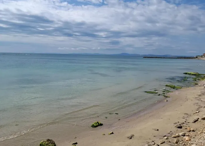 Daire лазур аурелия *